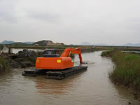 swamp buggy