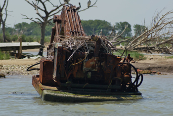 swamp buggies